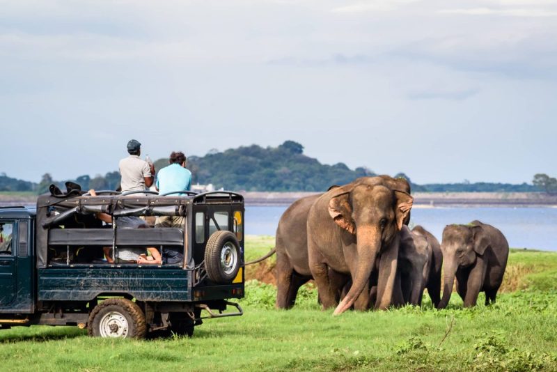 moonheaven-travels-wildlife-adventure-safari-tour-srilanka