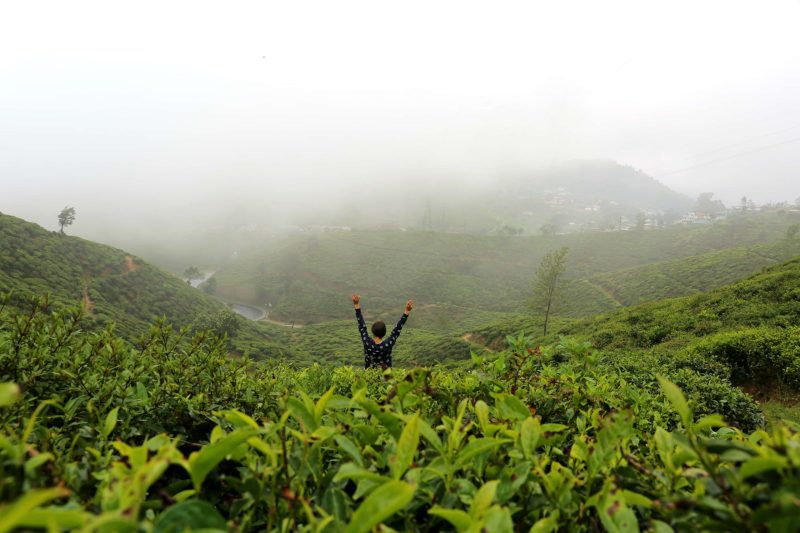 hiking-eco-adventure-tour-moonheaven-travels-srilanka-tours