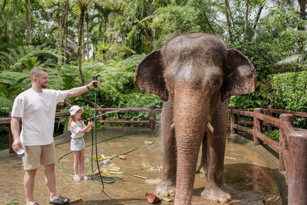 elephant-freedom-project-moonheaven-travels-srilanka