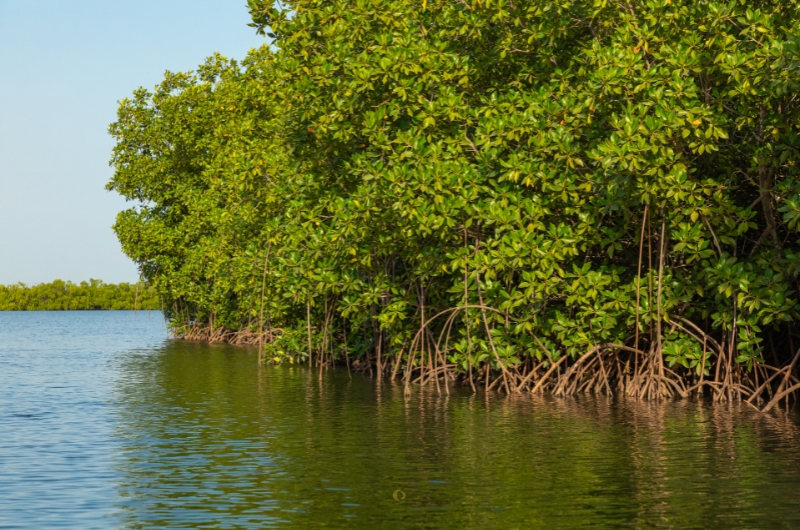 negombo-lagoon-moonheaven-travels