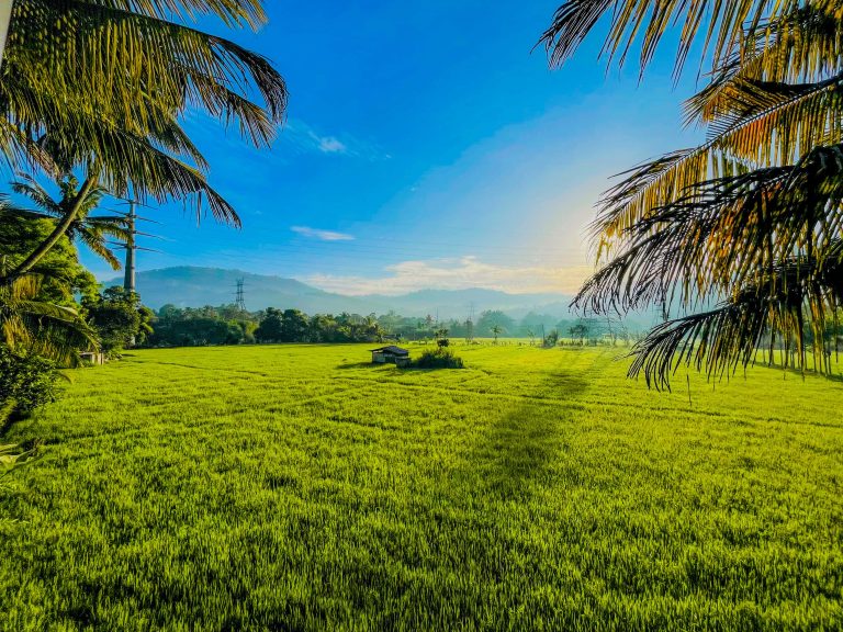 village-tour-srilanka-moonheaven-travels-traditional-srilankan-experience